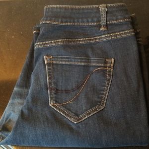 Lane Bryant Jeans